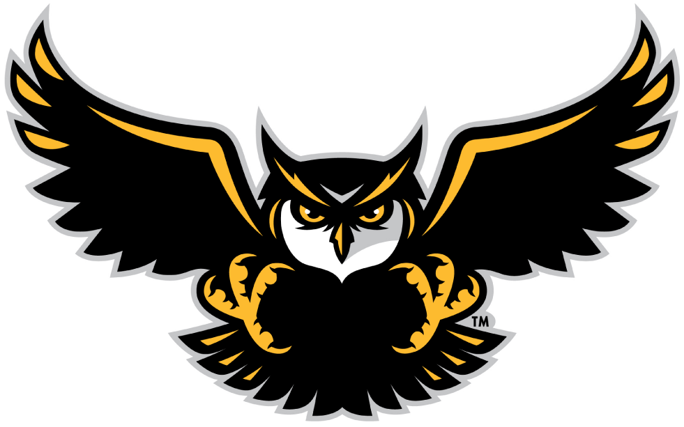 Kennesaw State Owls 2012-Pres Alternate Logo v4 iron on transfers for T-shirts